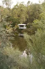 IMAG0482.webp