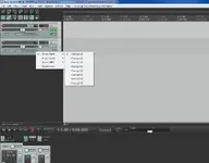Reaper Help.webp