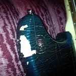 MusMas2.webp