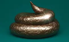 Polished-Turd.webp