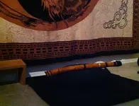 Studio Shaku.webp