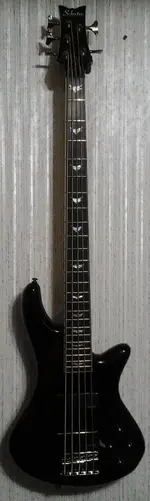 New Bass.webp