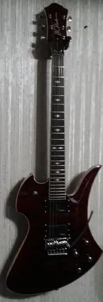 New Guitar.webp