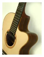 Acoustic_cutaway_side_on.webp