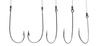 base-hooks-image.webp