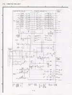 5.webp