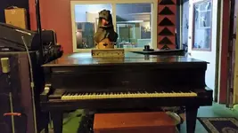 piano 3-2015.webp