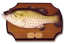 singingbass.webp