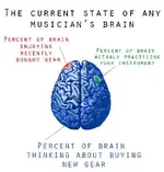 musicians brain.webp
