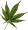 smiley-rolling-joint.webp