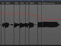 Gain Clips.webp