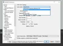 Reaper Settings.webp