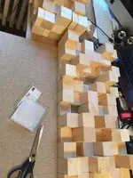 11846264_10153523301868351_1000890372_n.webp