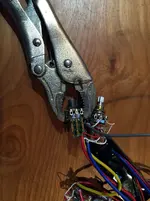 Bass63.webp