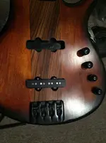 Bass66.webp