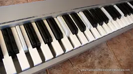 keyboard close up.webp