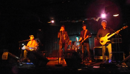 Live at The Toad Tavern.webp