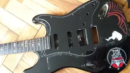 Pick Guard.webp
