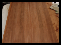BACK PLATES, GLUED, 1ST SCRAPING.webp