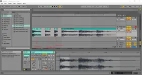 ABLETON PT FORUM.webp