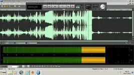 loud lady.webp