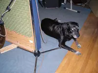 DSCN1952.webp