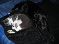 DSCN0499.webp