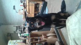 20160826_215951.webp