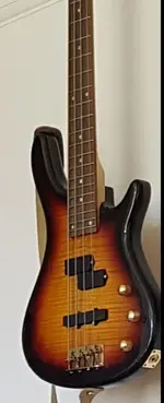 Bass 2.webp