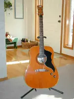 P1010017-2.webp