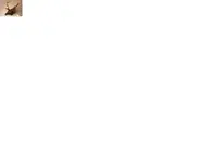 moose11111.webp