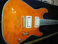 Schecterfront.webp