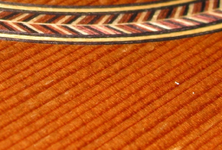 woodgrain.webp