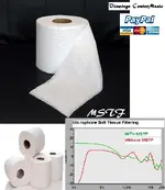 MSTF.webp