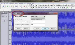 vocal rem.webp