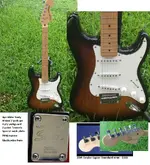 Squier Standard 20th (1).webp