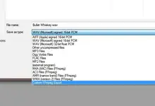 files.webp