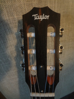 Taylor 114-ceN-2.webp