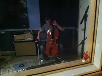 Cello.webp