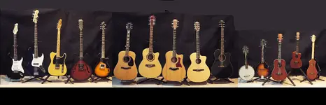 collection0.webp