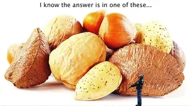 nutshells.webp
