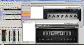 bluecat2.webp