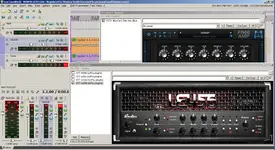 bluecat3.webp