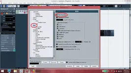 midi thru.webp