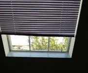 s8uu8bl.webp