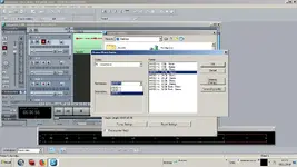sam samples.webp