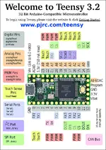 teensy front.webp