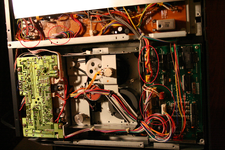 244 innards.webp