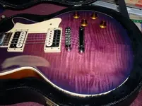 Purple Burst.webp