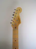 Neck.webp
